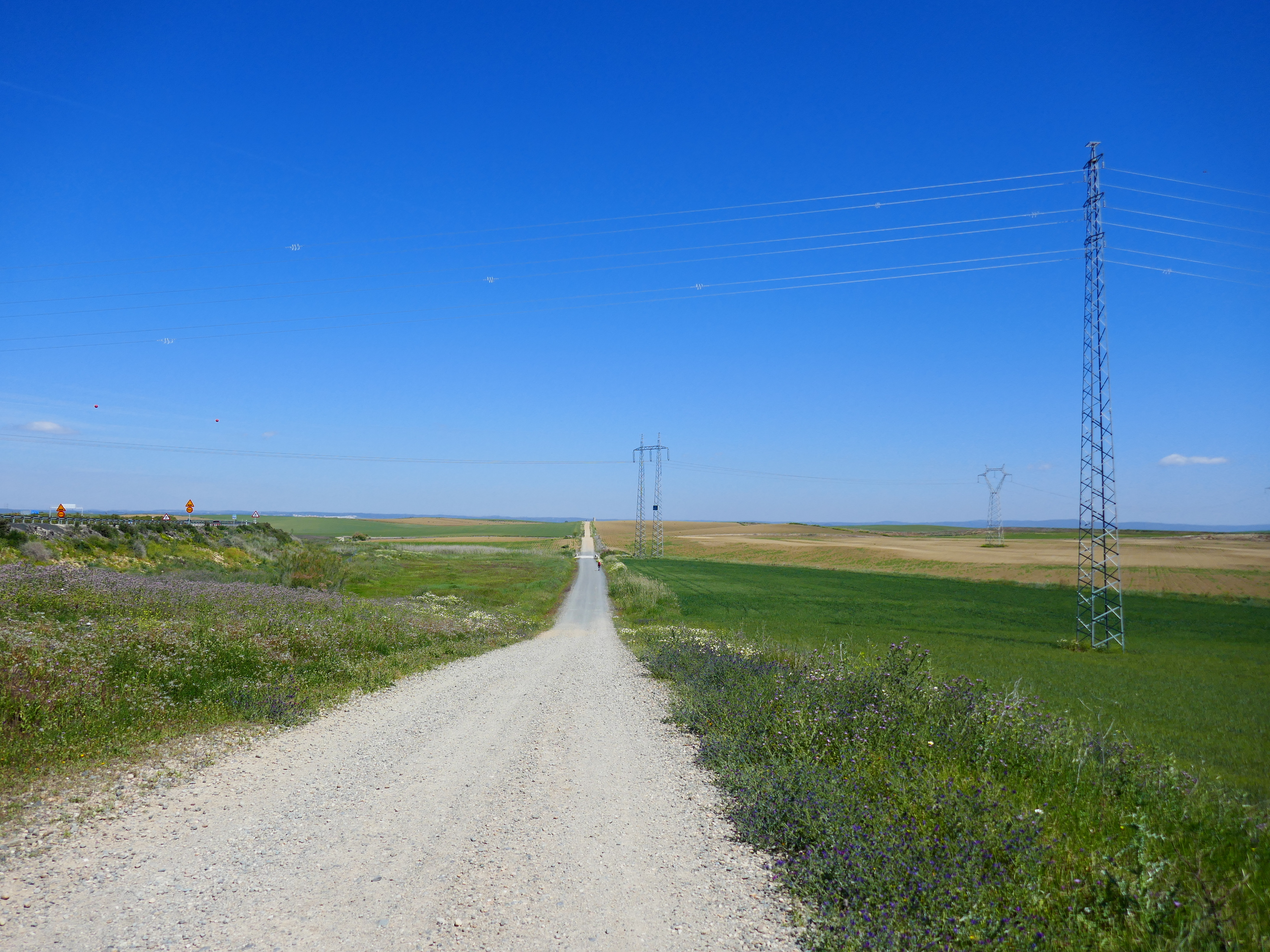 Die Wurzeln des Pilgerns – Ursprünge und Bedeutung